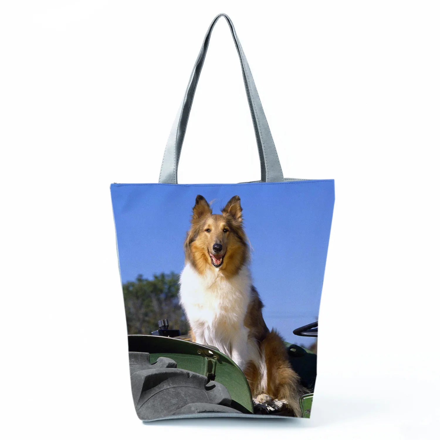 Borsa Rough Collie 2026