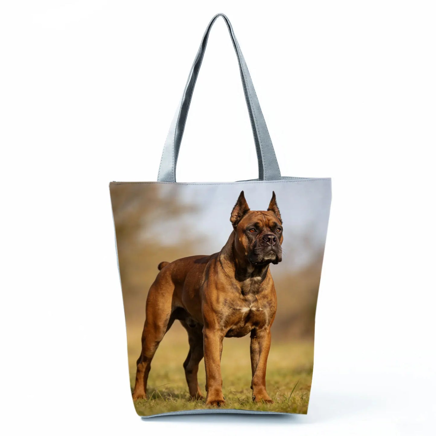Borsa Cane Boxer Gennaio 2026