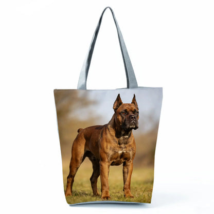 Borsa Cane Boxer Gennaio 2026