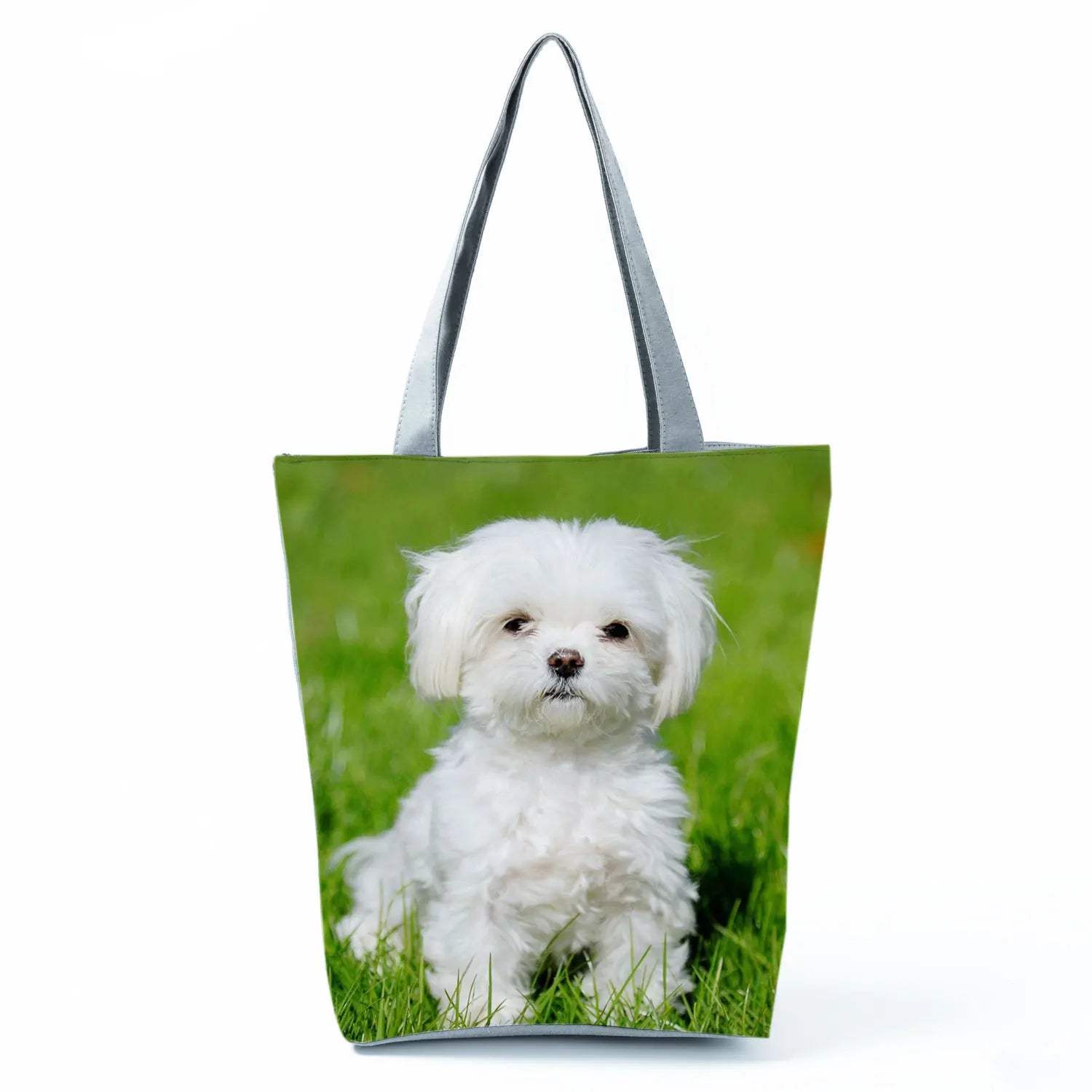 Borsa Cane Maltese Marzo 2026