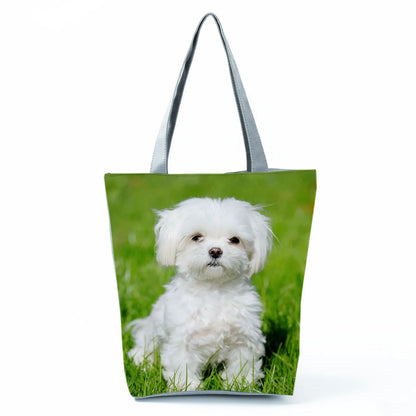 Borsa Cane Maltese Marzo 2026