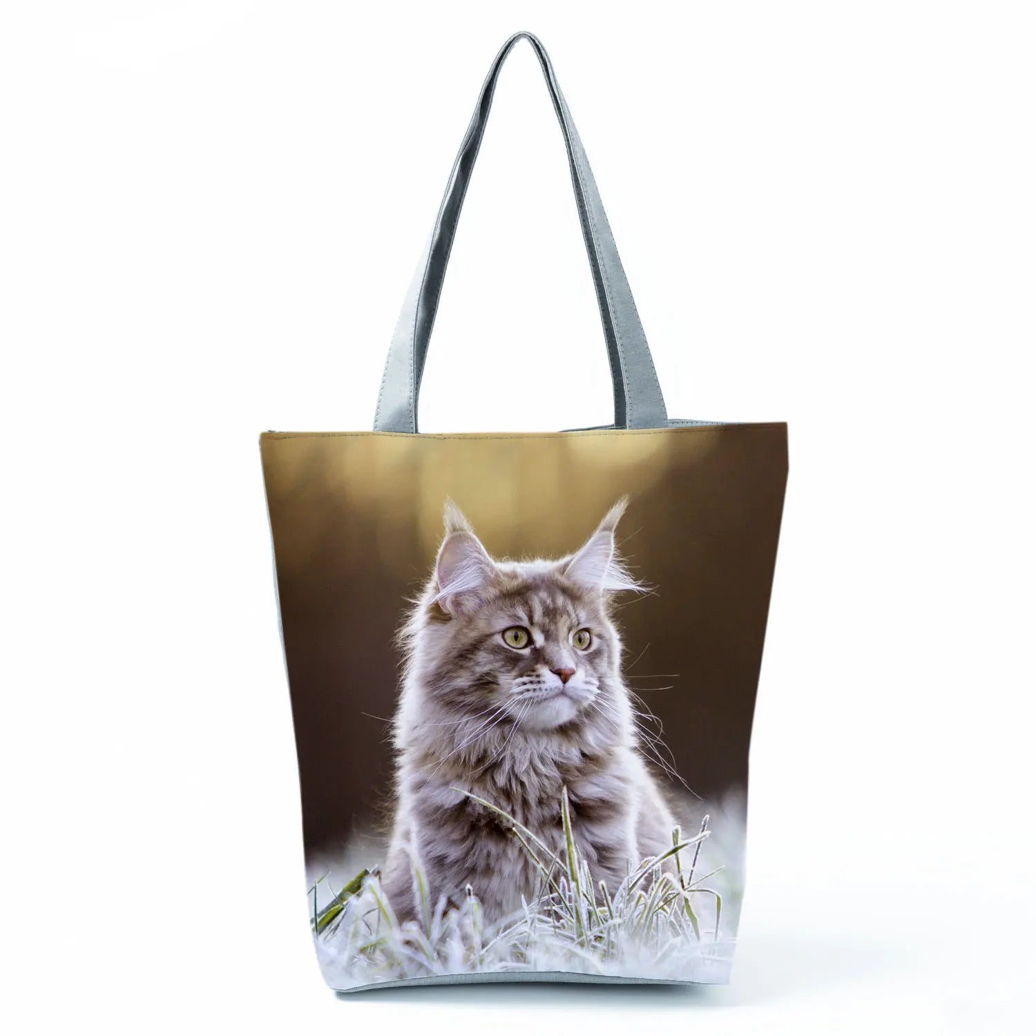 Borsa Gatto Maine Coon 2026
