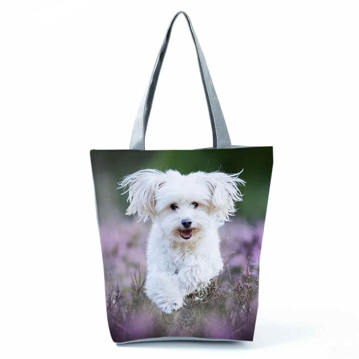 Borsa Cane Maltese Marzo 2026
