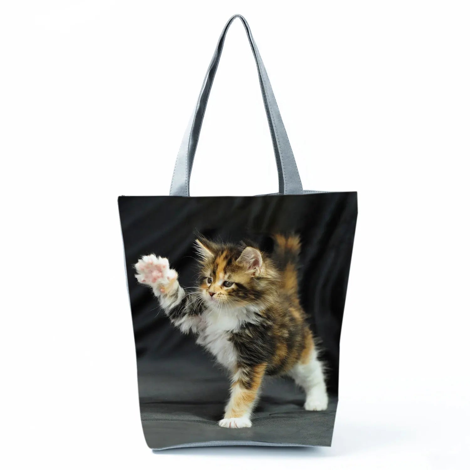 Borsa Gatto Maine Coon 2026