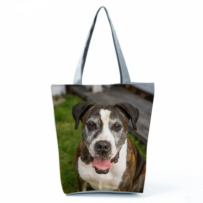 Borsa Cane Boxer Gennaio 2026