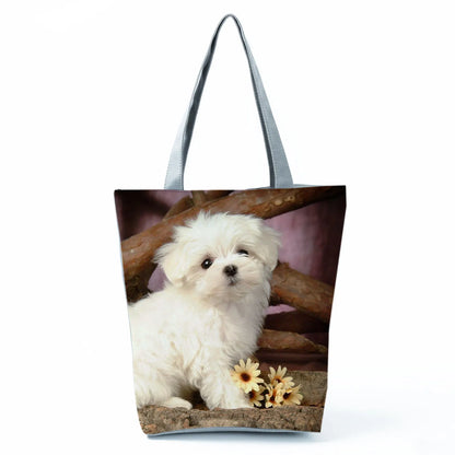 Borsa Cane Maltese Marzo 2026