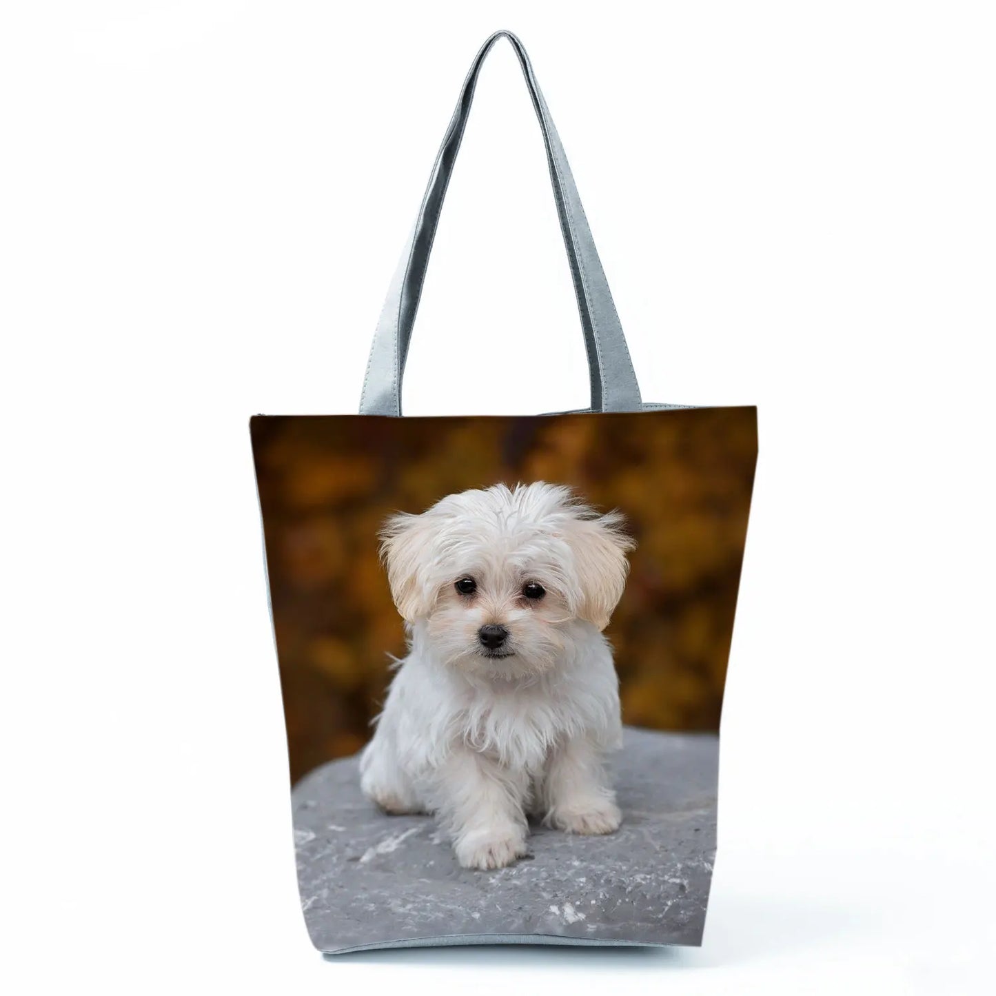 Borsa Cane Maltese Marzo 2026