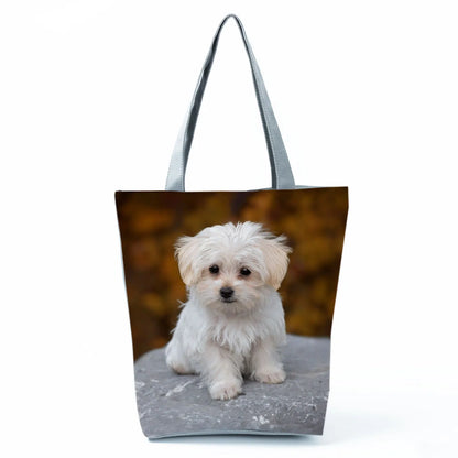 Borsa Cane Maltese Marzo 2026