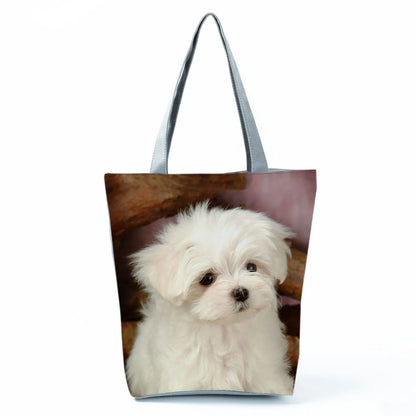 Borsa Cane Maltese Marzo 2026