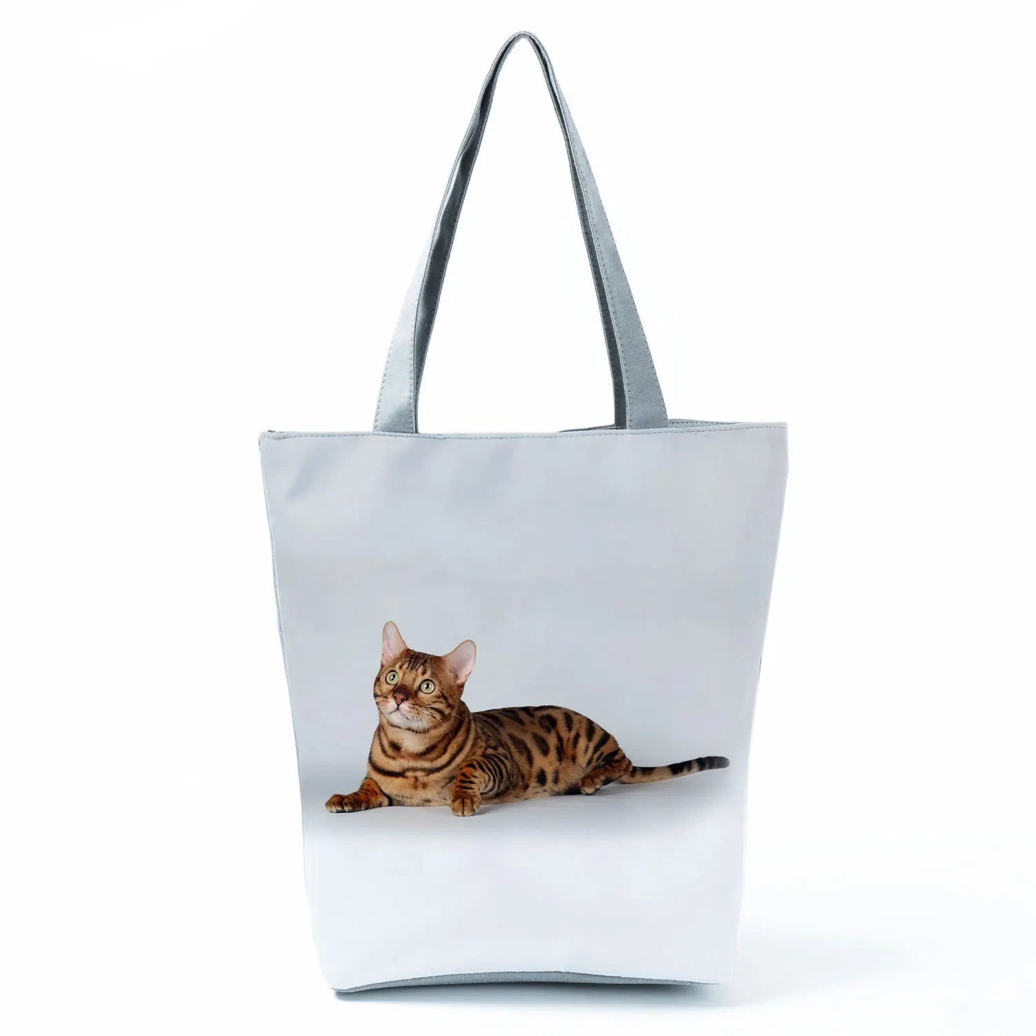 Borsa Gatto del Bengala 2026