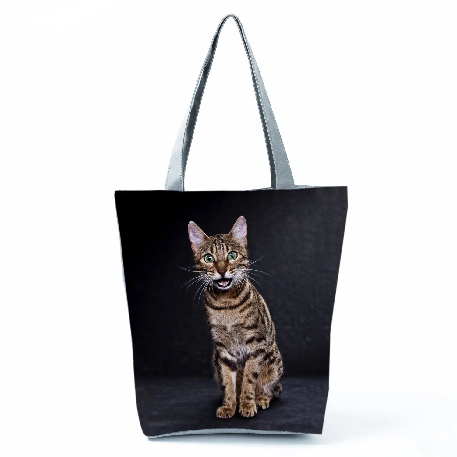 Borsa Gatto del Bengala 2026