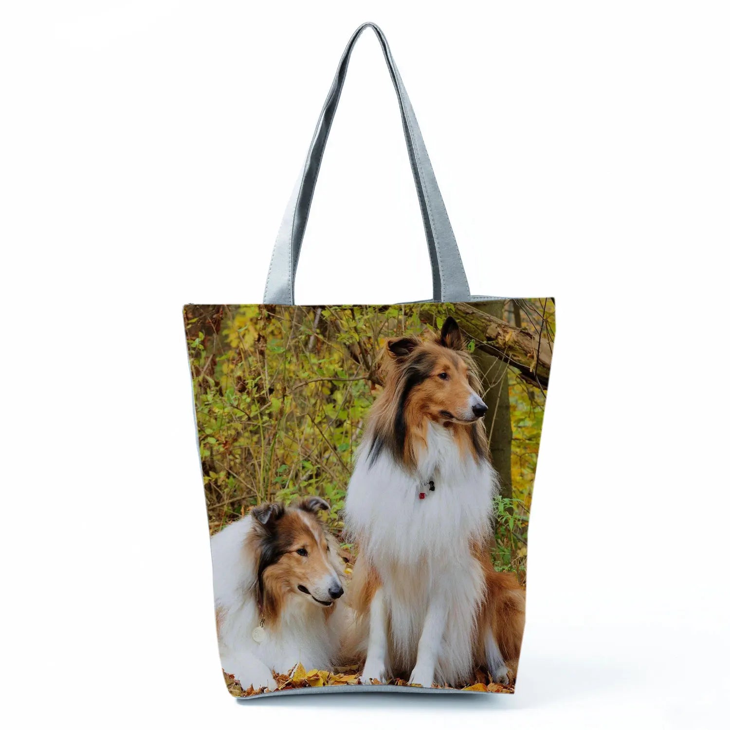 Borsa Rough Collie 2026