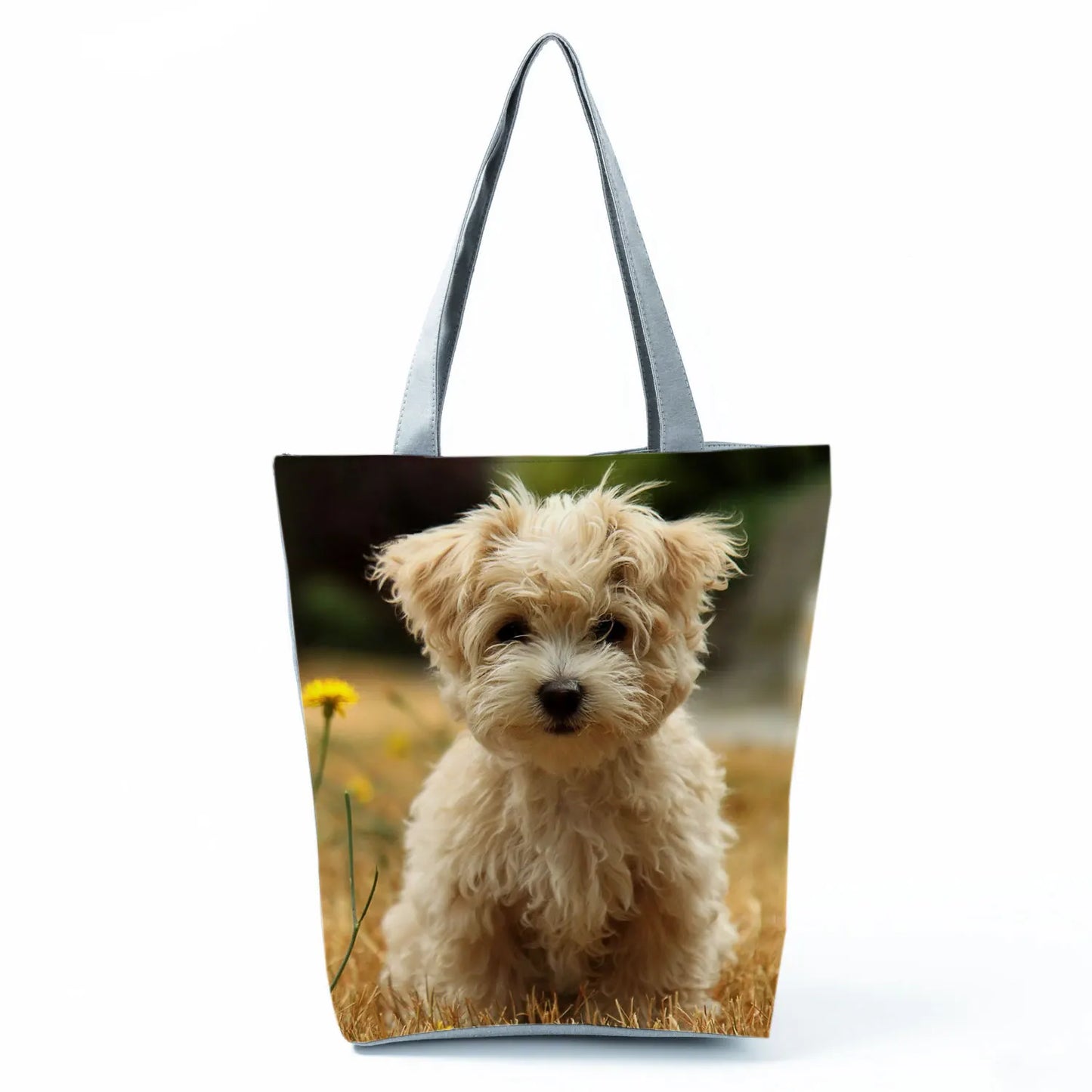 Borsa Cane Maltese Marzo 2026