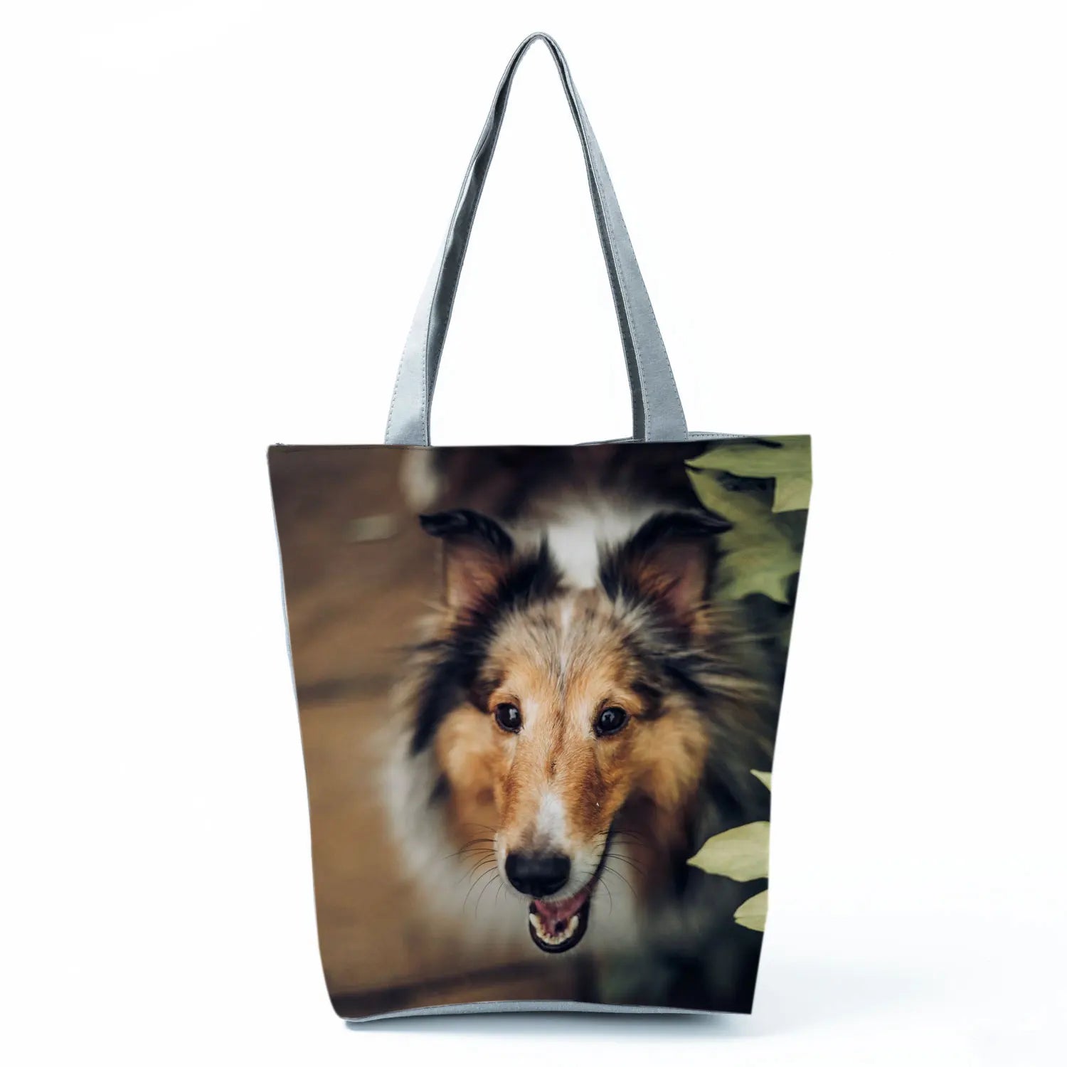 Borsa Rough Collie 2026