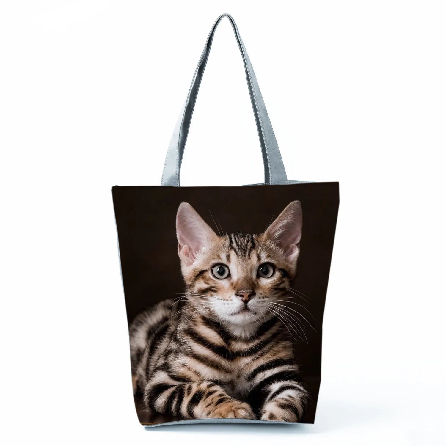Borsa Gatto del Bengala 2026