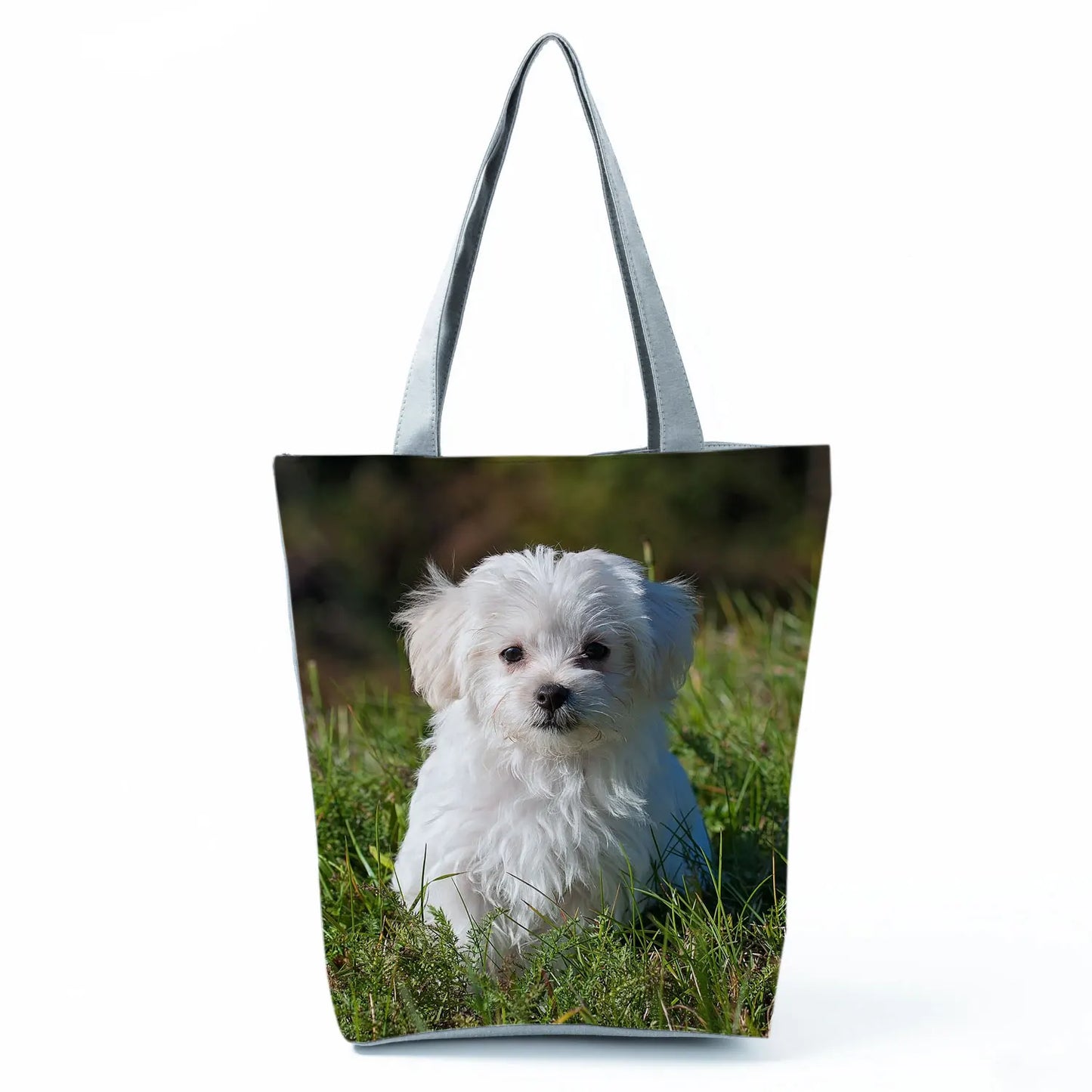 Borsa Cane Maltese Marzo 2026