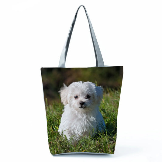 Borsa Cane Maltese Marzo 2026