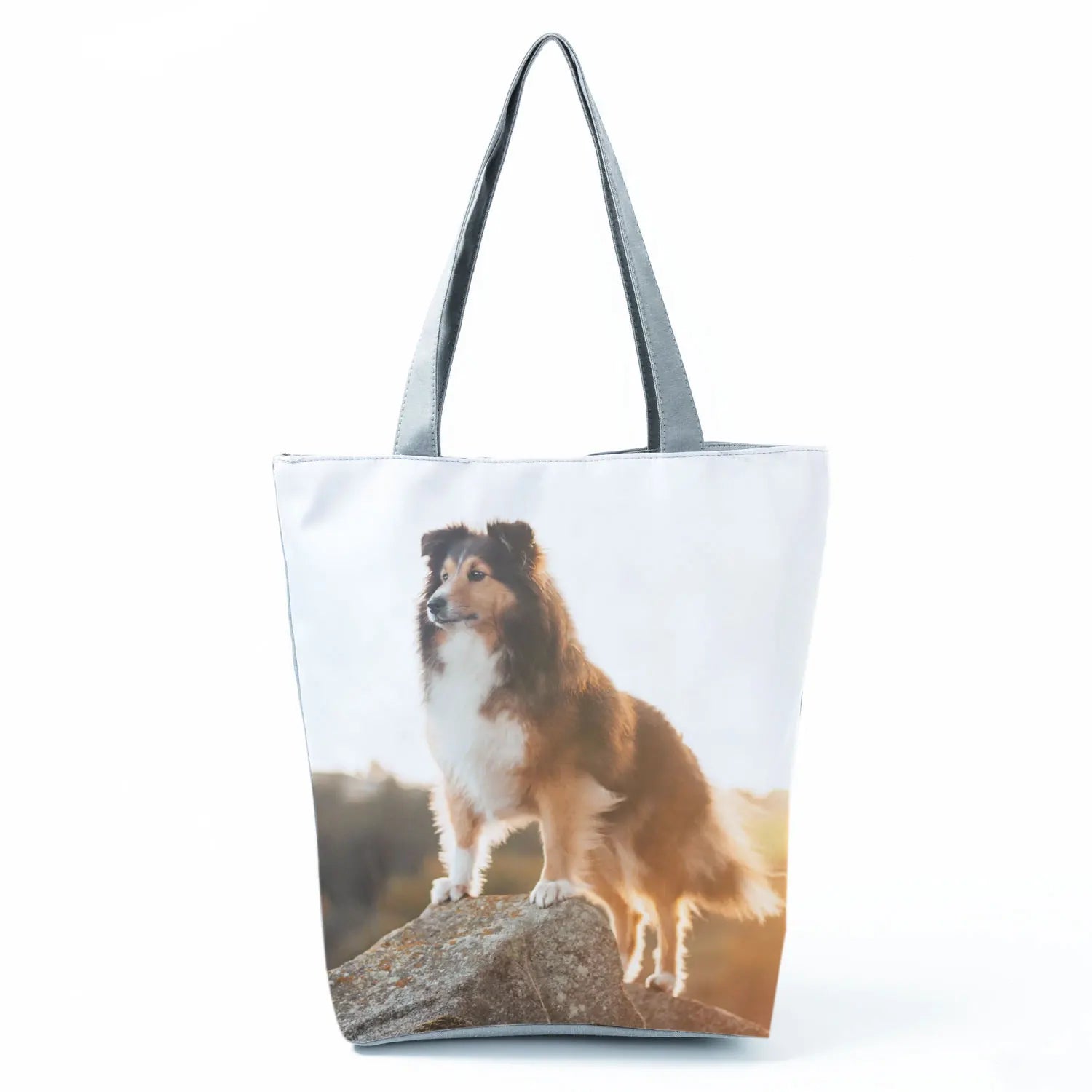 Borsa Rough Collie 2026