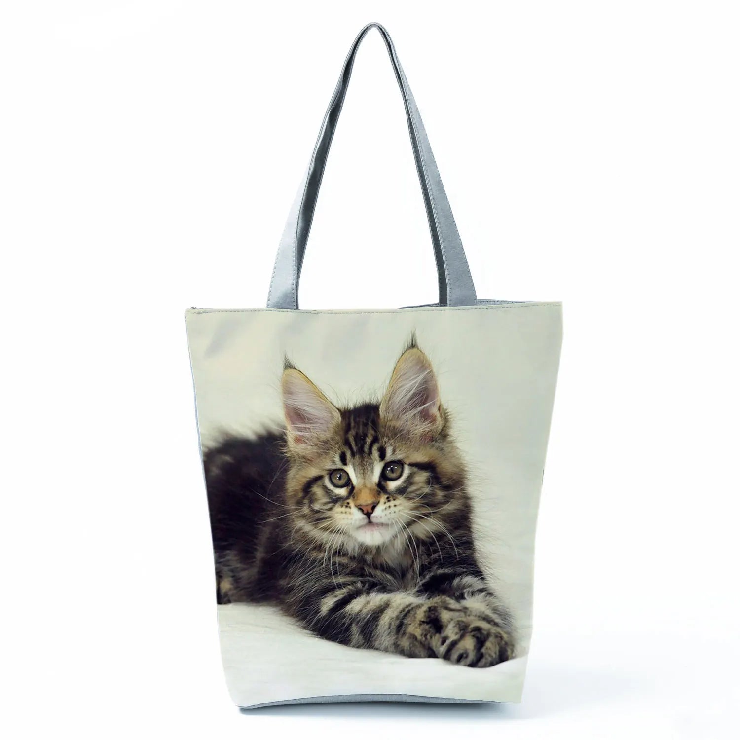 Borsa Gatto Maine Coon 2026