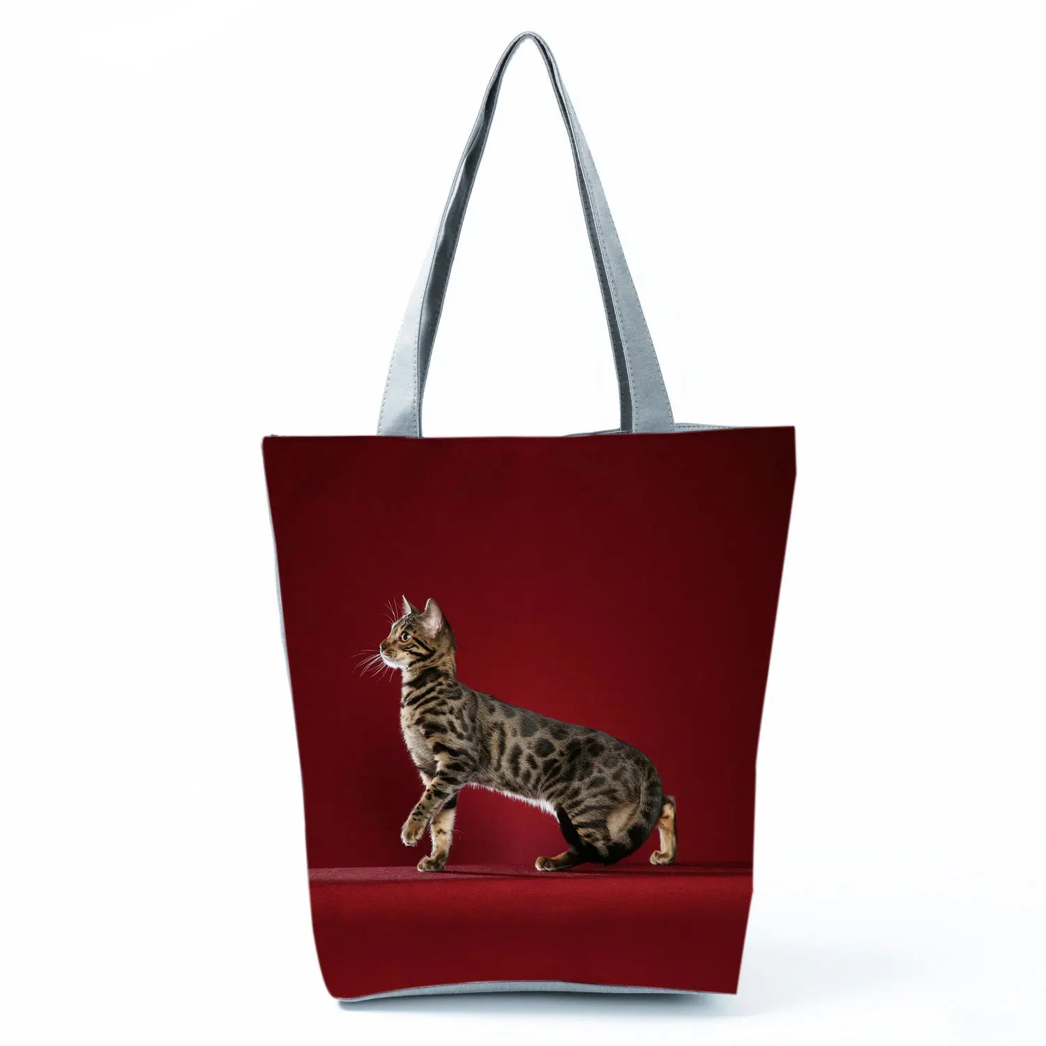 Borsa Gatto del Bengala 2026