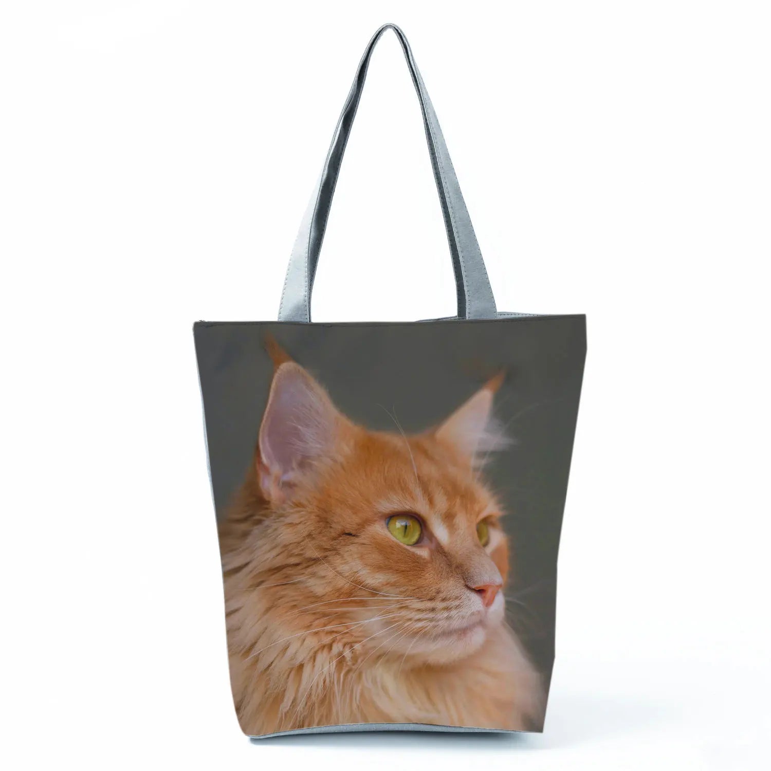 Borsa Gatto Maine Coon 2026