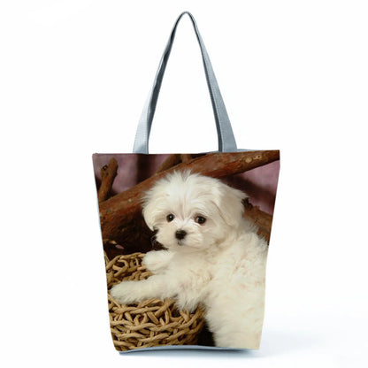 Borsa Cane Maltese Marzo 2026
