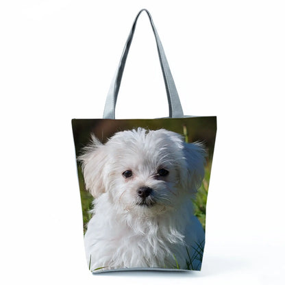 Borsa Cane Maltese Marzo 2026