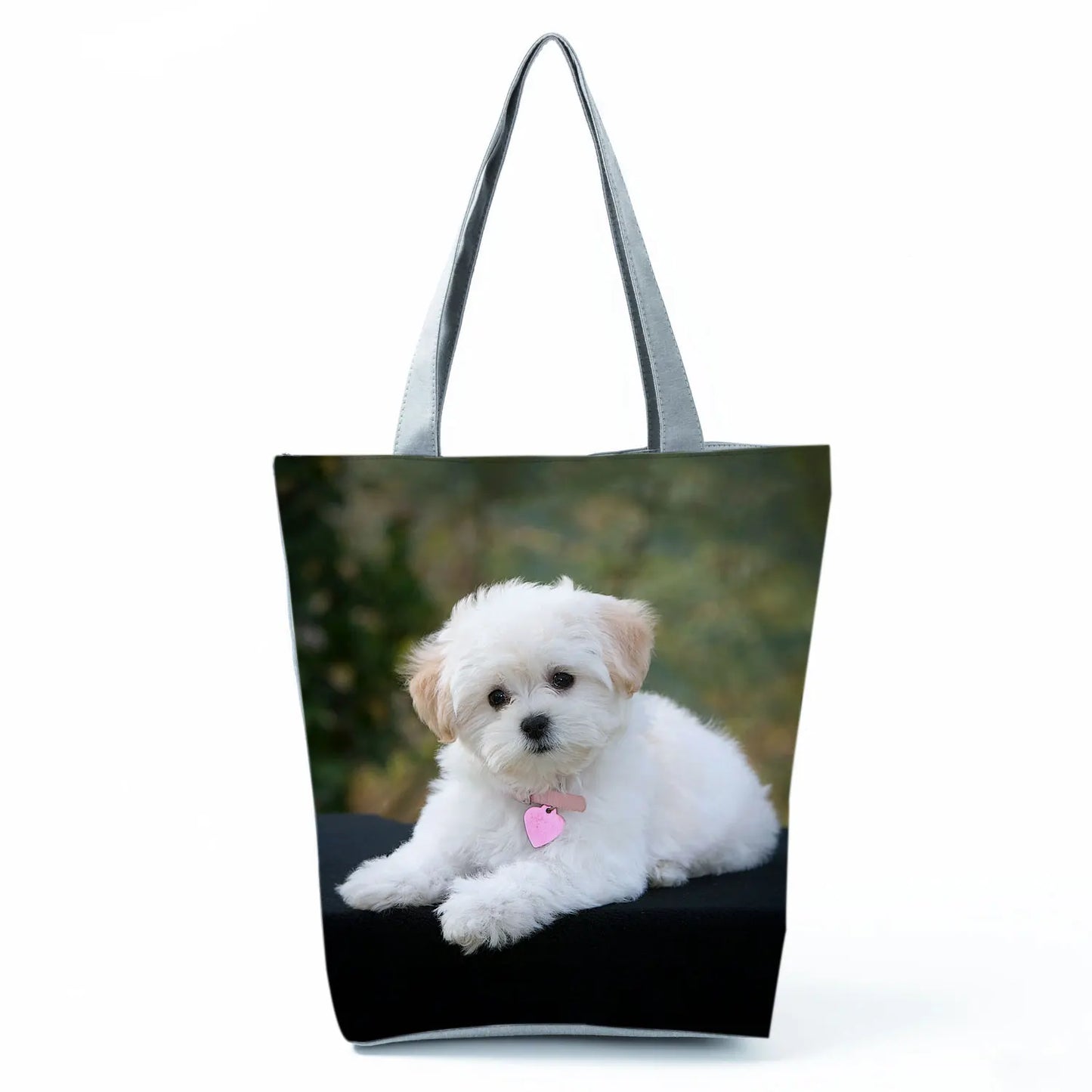 Borsa Cane Maltese Marzo 2026