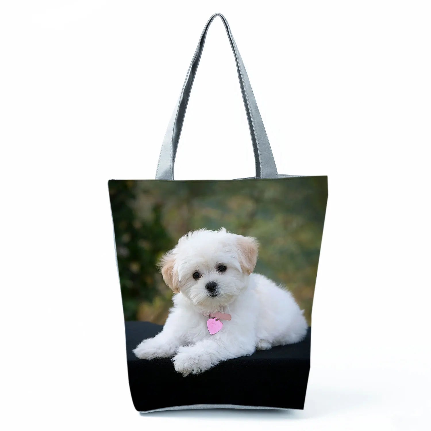 Borsa Cane Maltese Marzo 2026