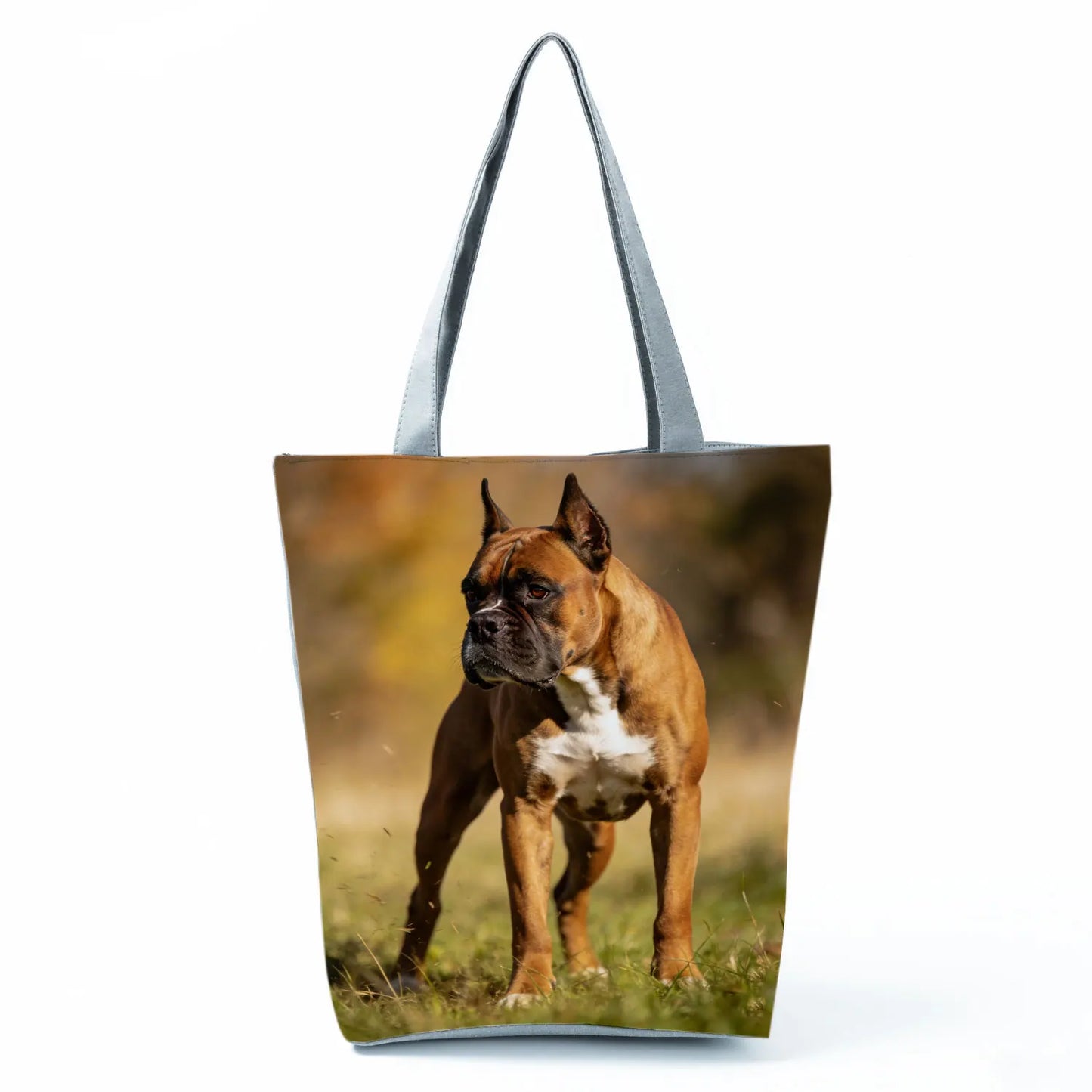 Borsa Cane Boxer Gennaio 2026