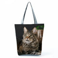 Borsa Gatto Maine Coon 2026