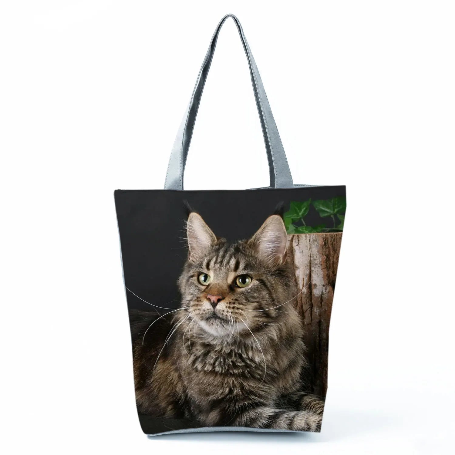 Borsa Gatto Maine Coon 2026
