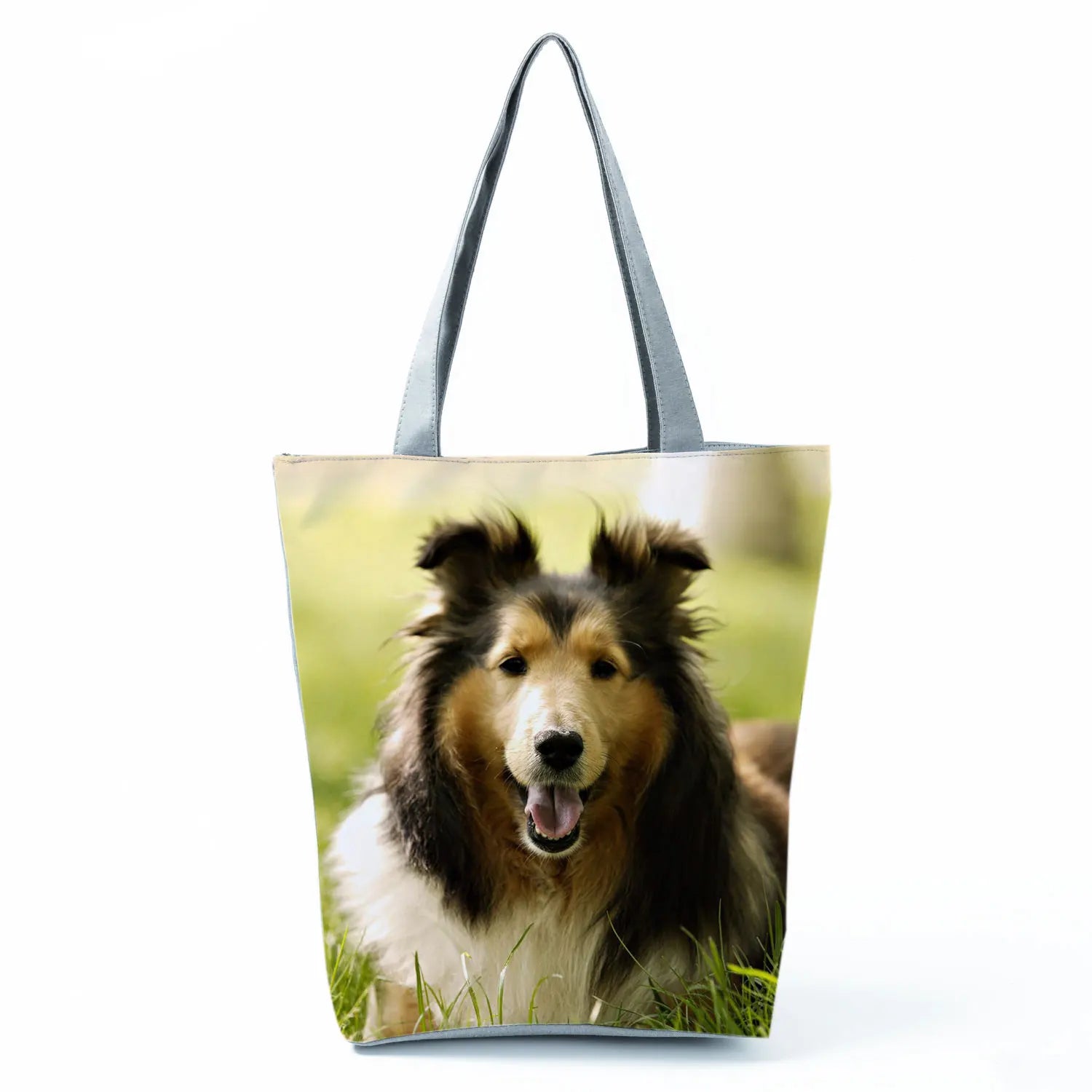 Borsa Rough Collie 2026