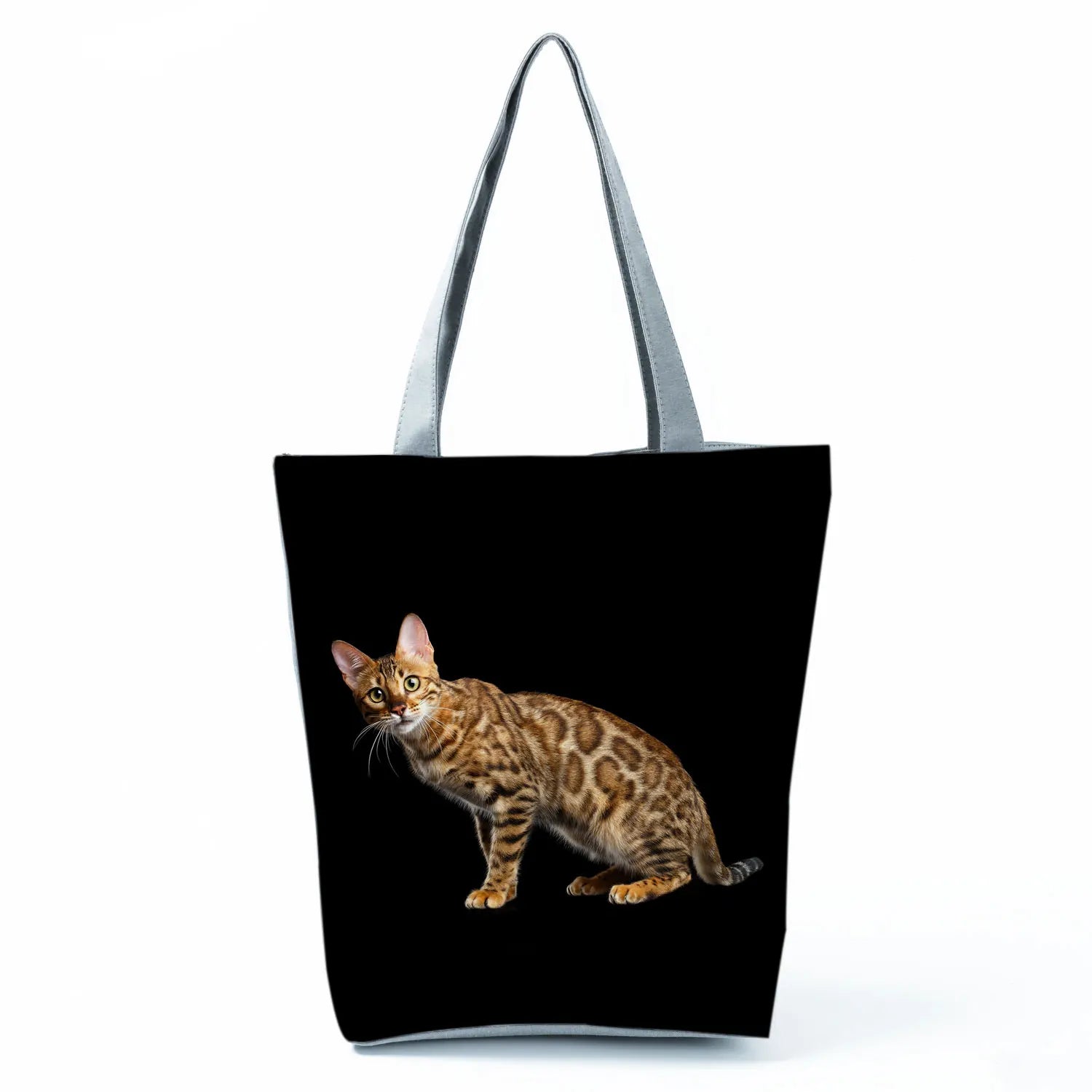 Borsa Gatto del Bengala 2026