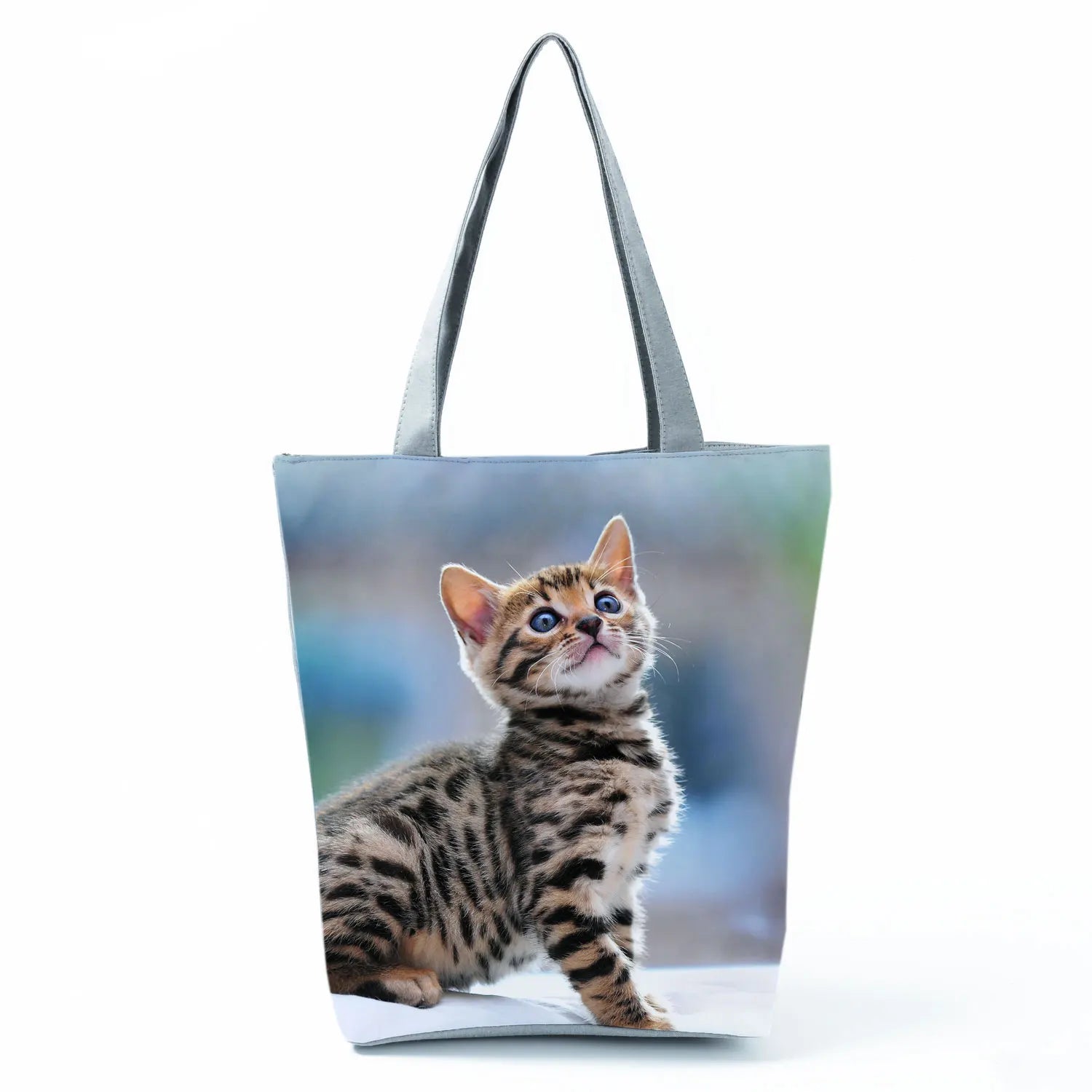 Borsa Gatto del Bengala 2026