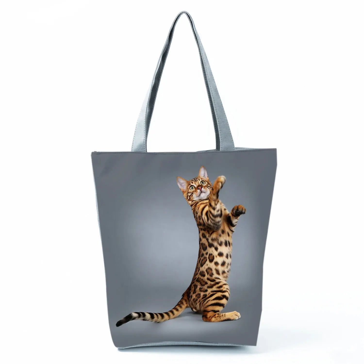 Borsa Gatto del Bengala 2026