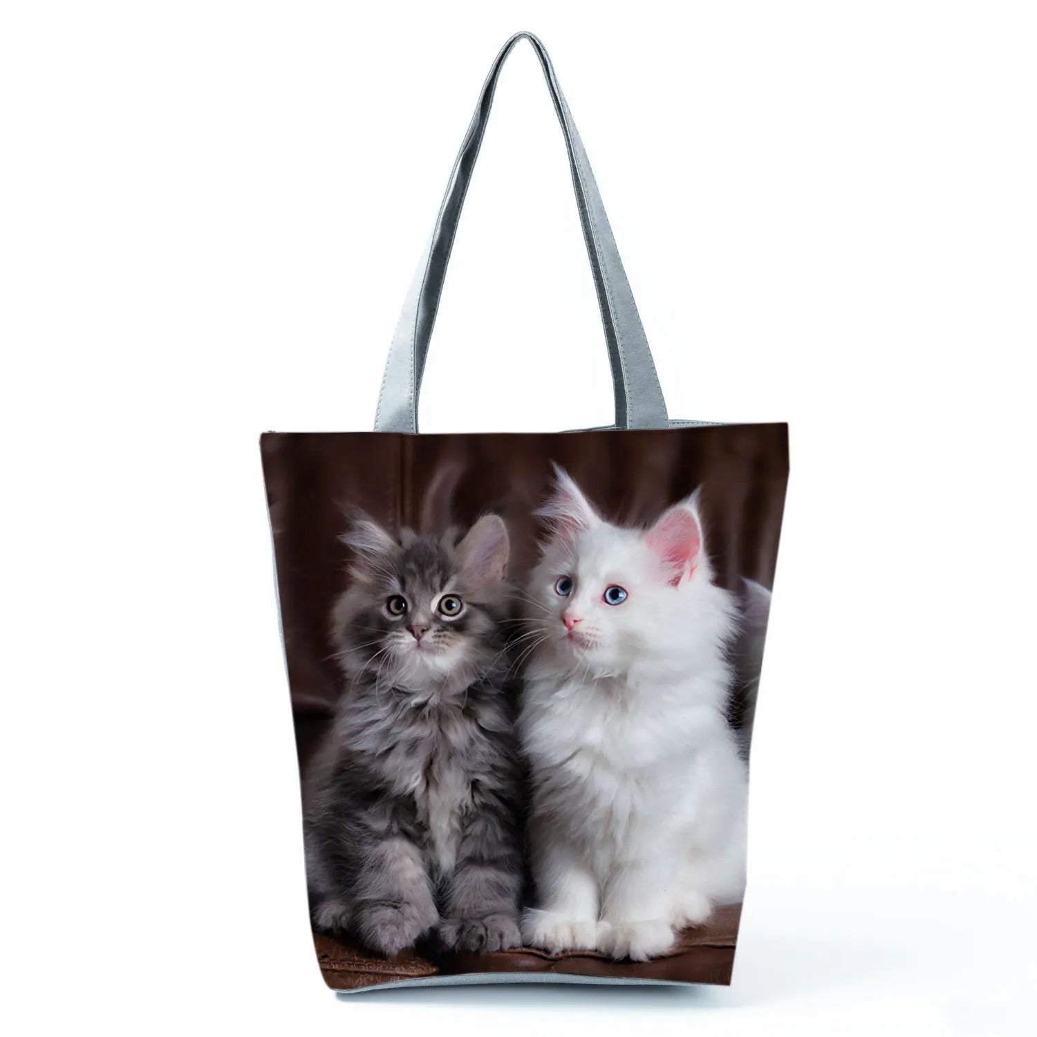 Borsa Gatto Maine Coon 2026