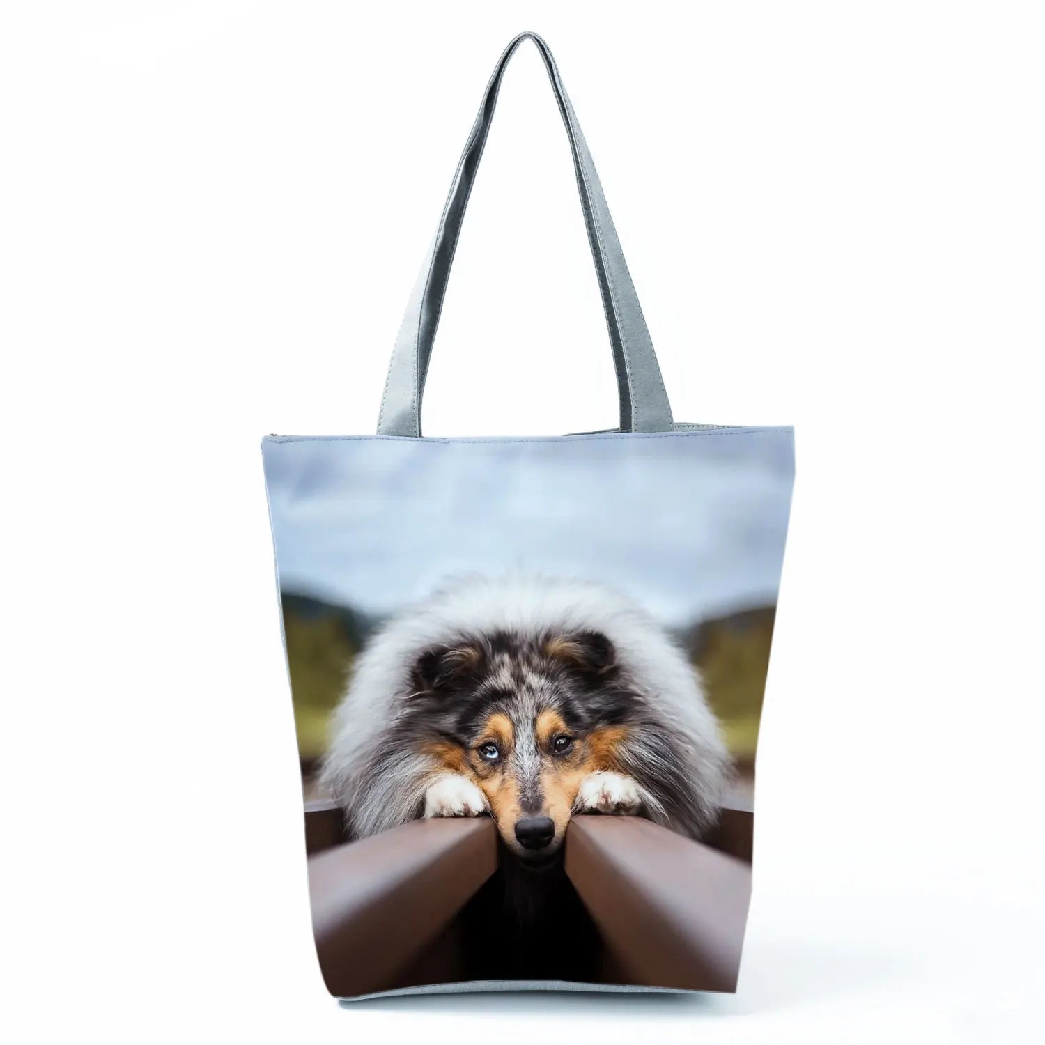 Borsa Rough Collie 2026