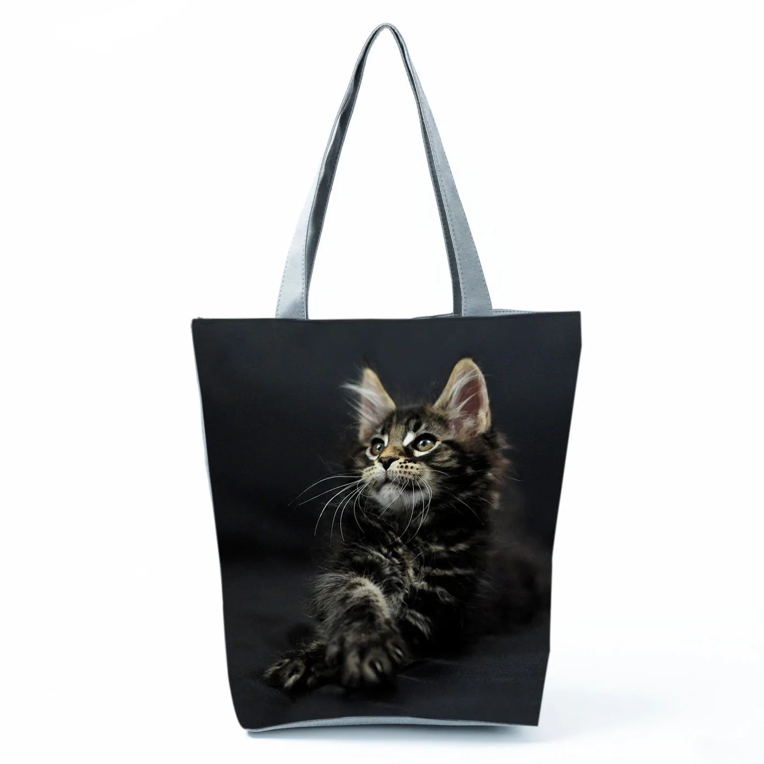 Borsa Gatto Maine Coon 2026