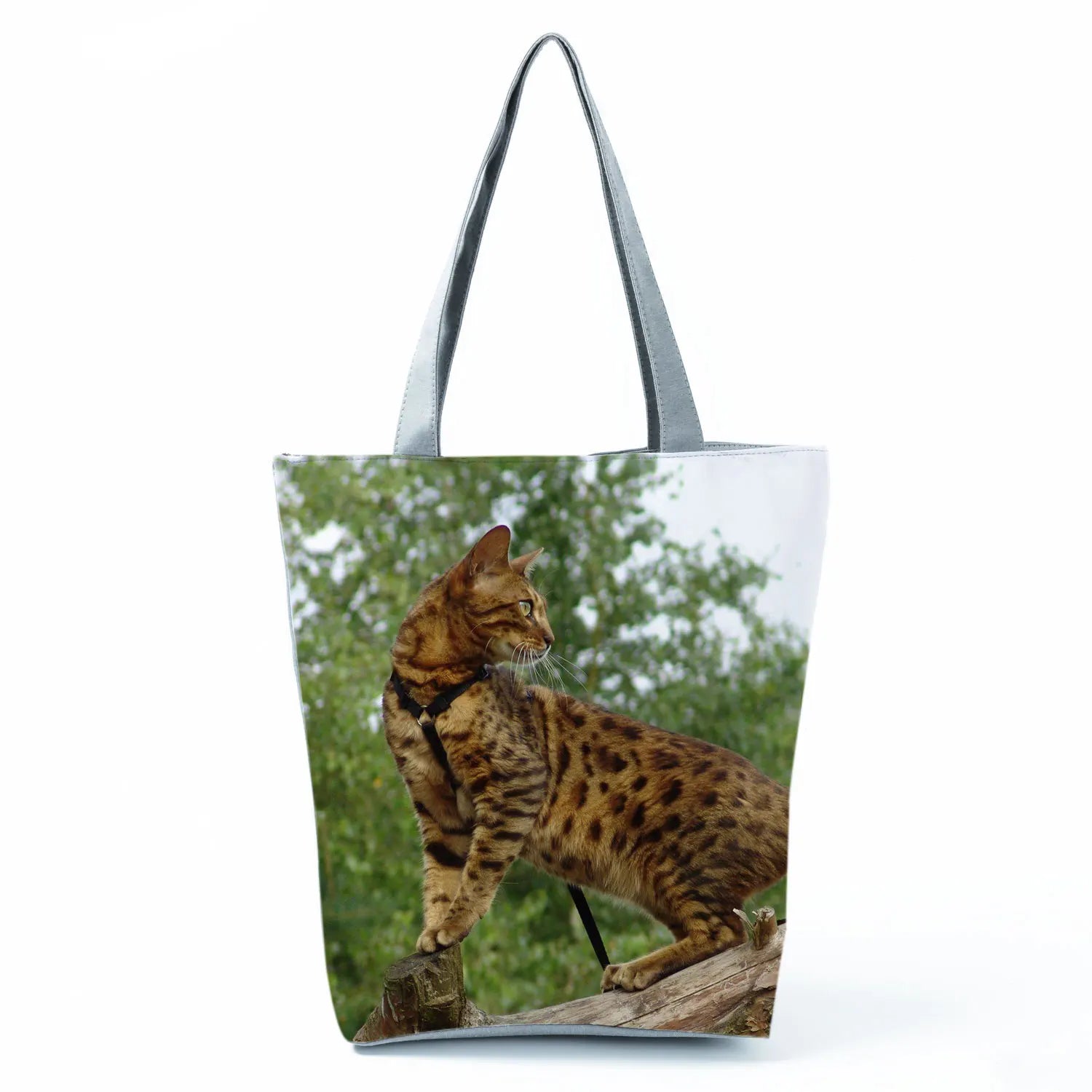 Borsa Gatto del Bengala 2026