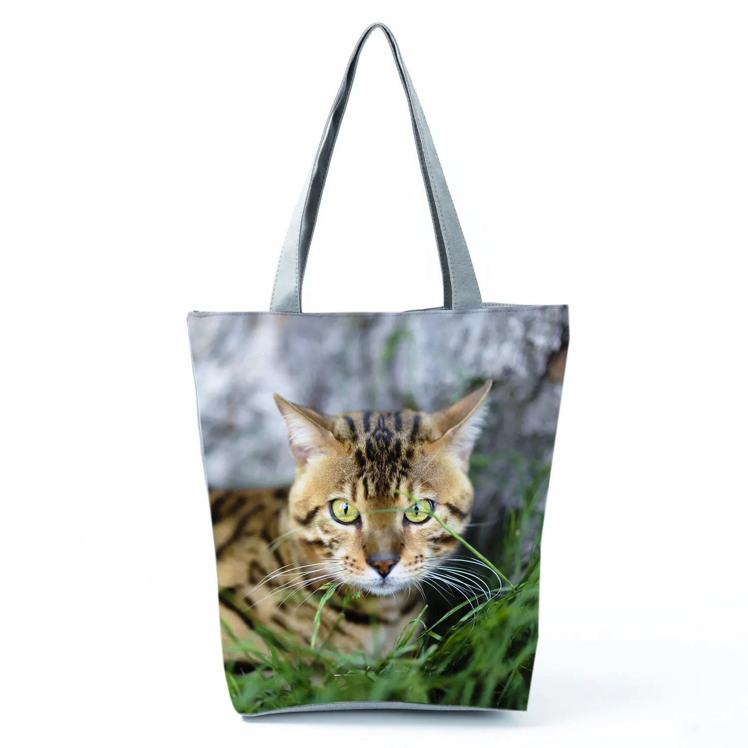 Borsa Gatto del Bengala 2026