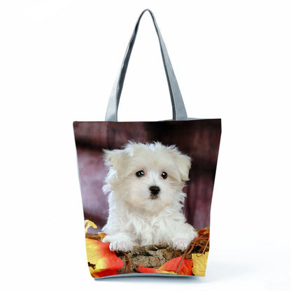 Borsa Cane Maltese Marzo 2026