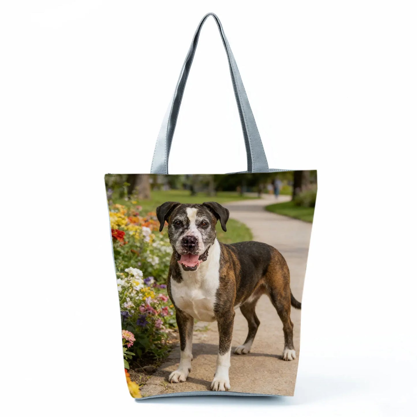 Borsa Cane Boxer Gennaio 2026