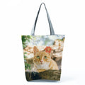 Borsa Gatto Tenerone 2026