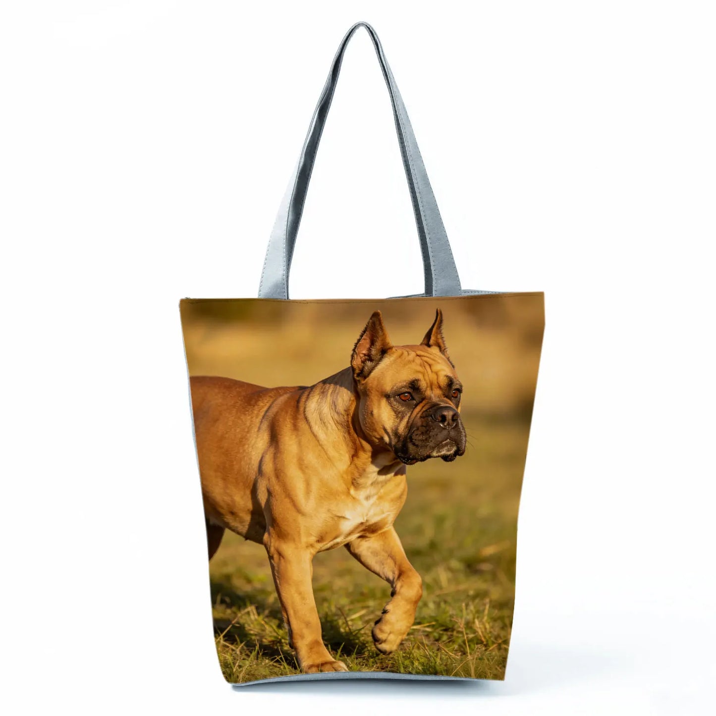 Borsa Cane Boxer Gennaio 2026