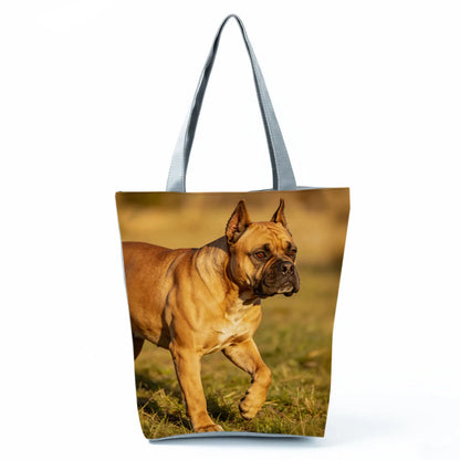 Borsa Cane Boxer Gennaio 2026