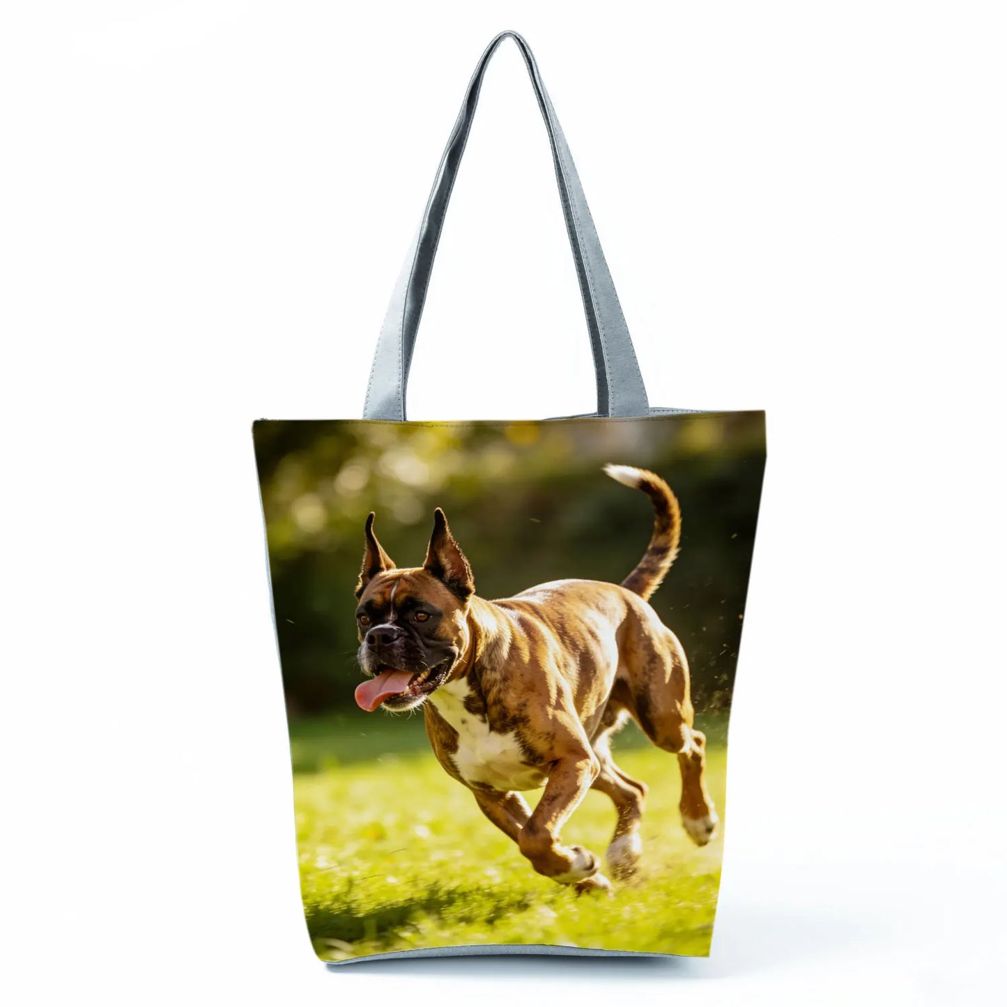 Borsa Cane Boxer Gennaio 2026