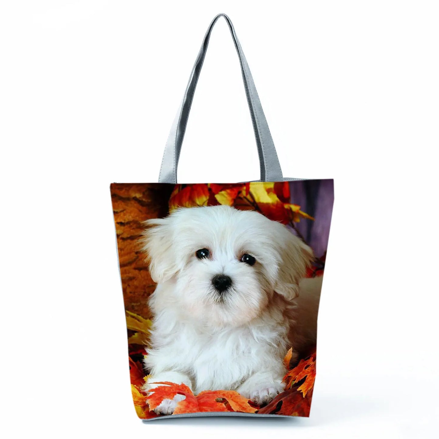 Borsa Cane Maltese Marzo 2026