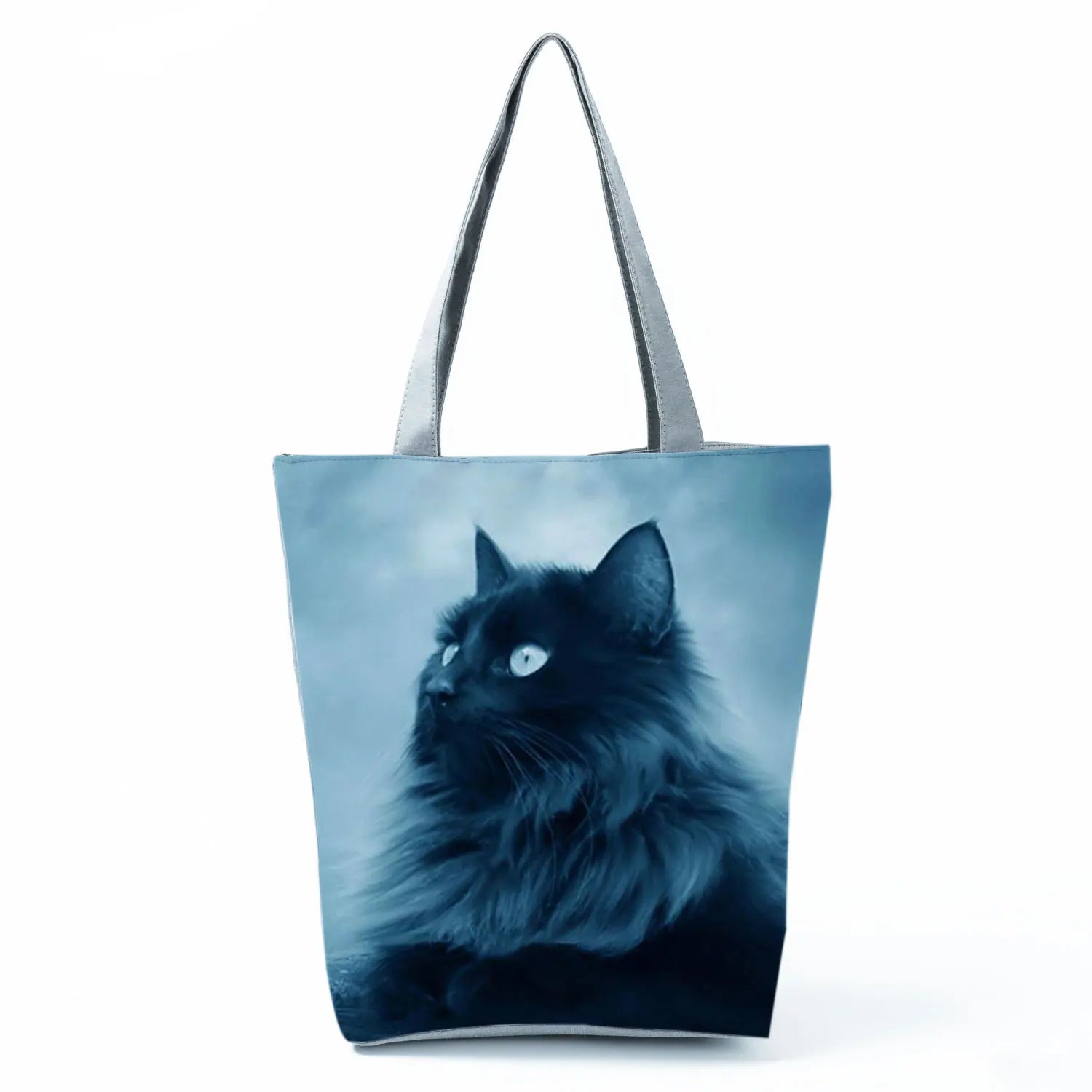 Borsa Gatto Maine Coon 2026
