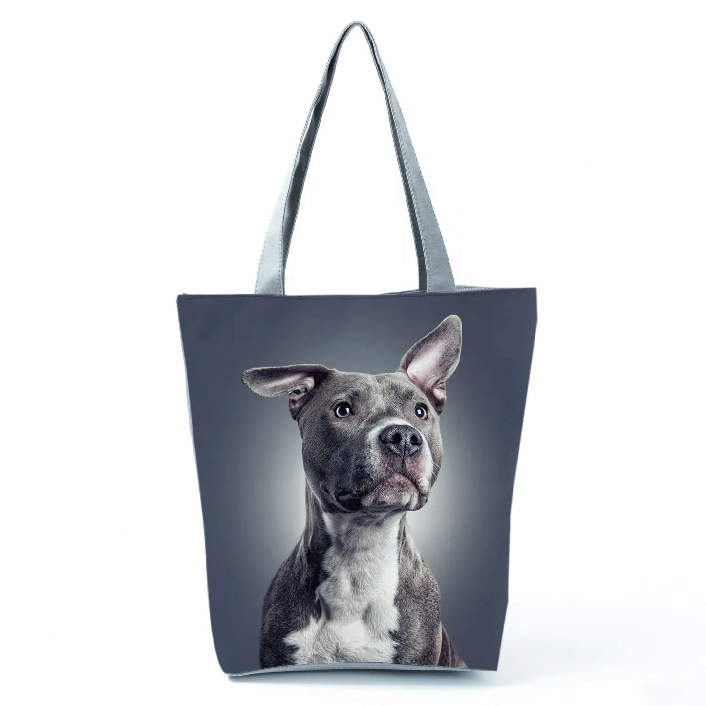 Borsa Cani Maggio 2026